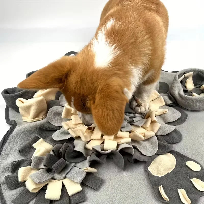Sniff & Seek Snuffle Mat