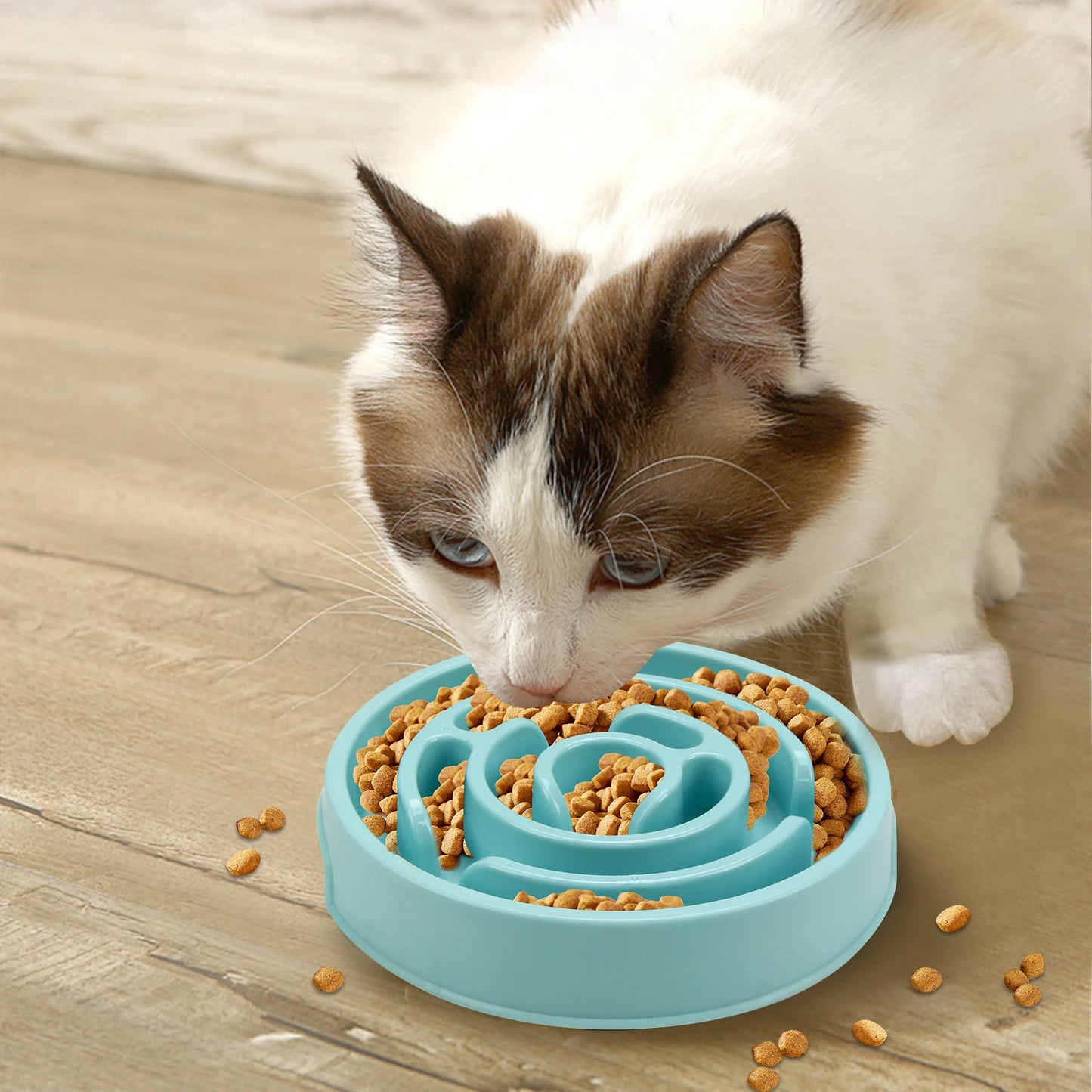 Slow-Down Feeder Bowl