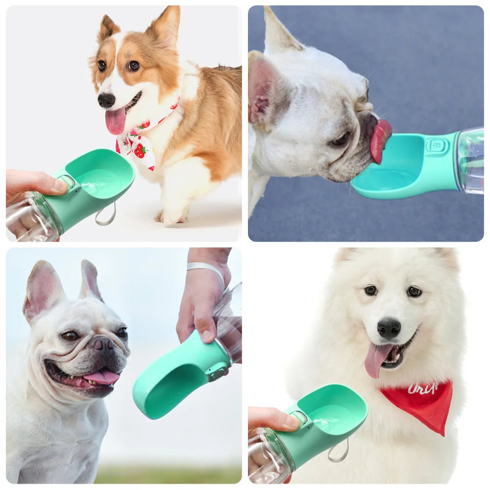 Go-Anywhere Dog Water Bottle