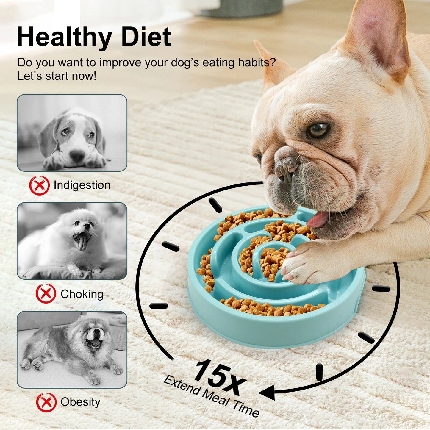 Slow-Down Feeder Bowl