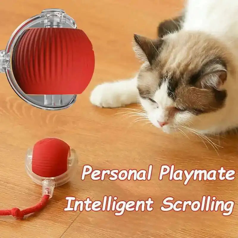 RoboRoll Smart Interactive Ball