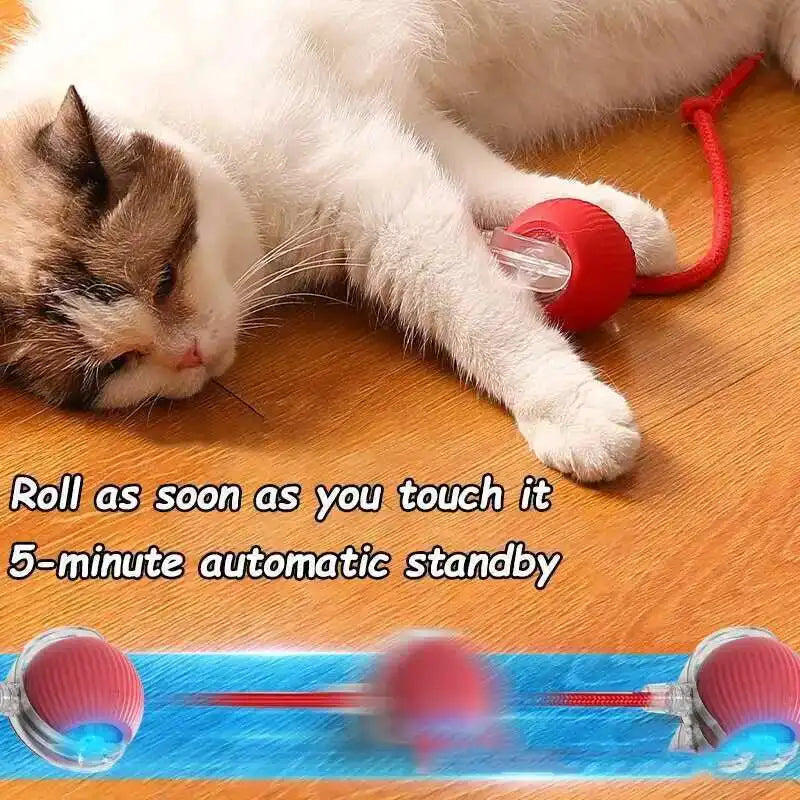 RoboRoll Smart Interactive Ball