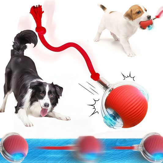 RoboRoll Smart Interactive Ball